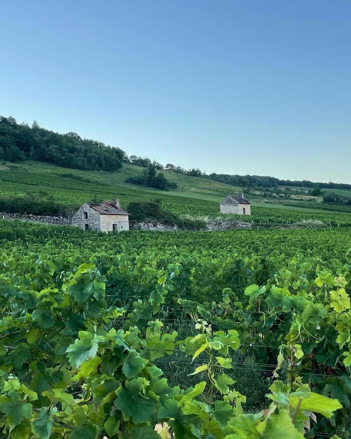 Le Clos De Miribel 吉弗里 外观 照片